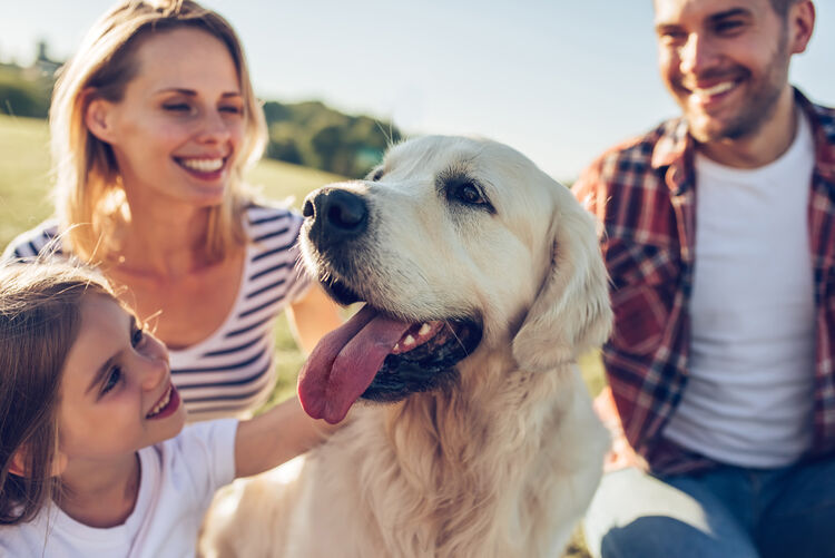 A family playing with their dog